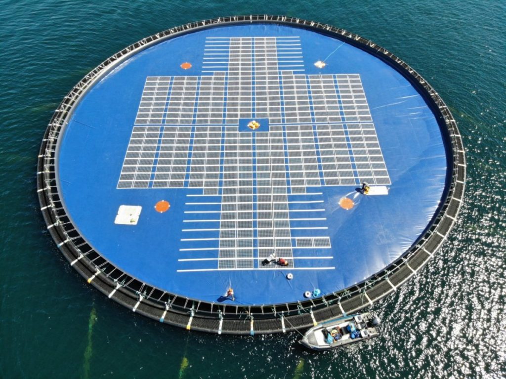 Floating PV learning from aquaculture industry - solarpanel4free.com